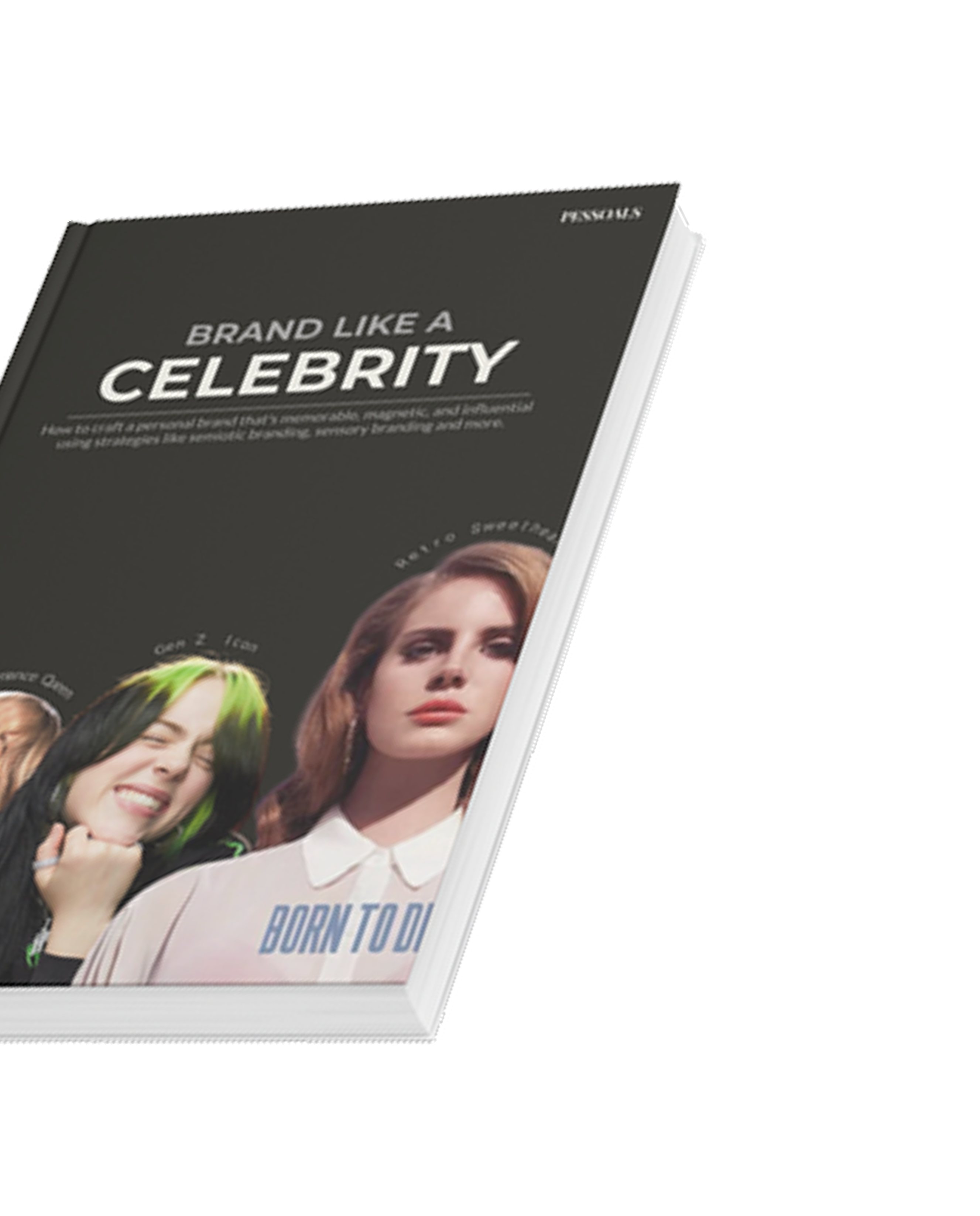 Brand Like a Celebrity book